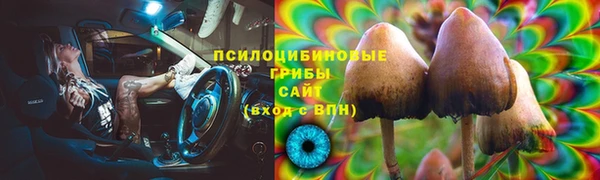 дмт Алзамай