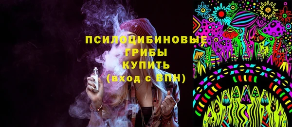 дмт Алзамай
