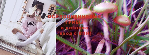 дмт Алзамай