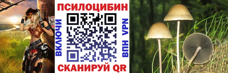 kraken как войти Кашин Псилоцибиновые грибы Psilocybine cubensis где можно купить наркотик